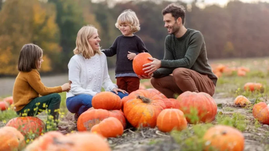 Families Love Pumpkin Picking Liverpool