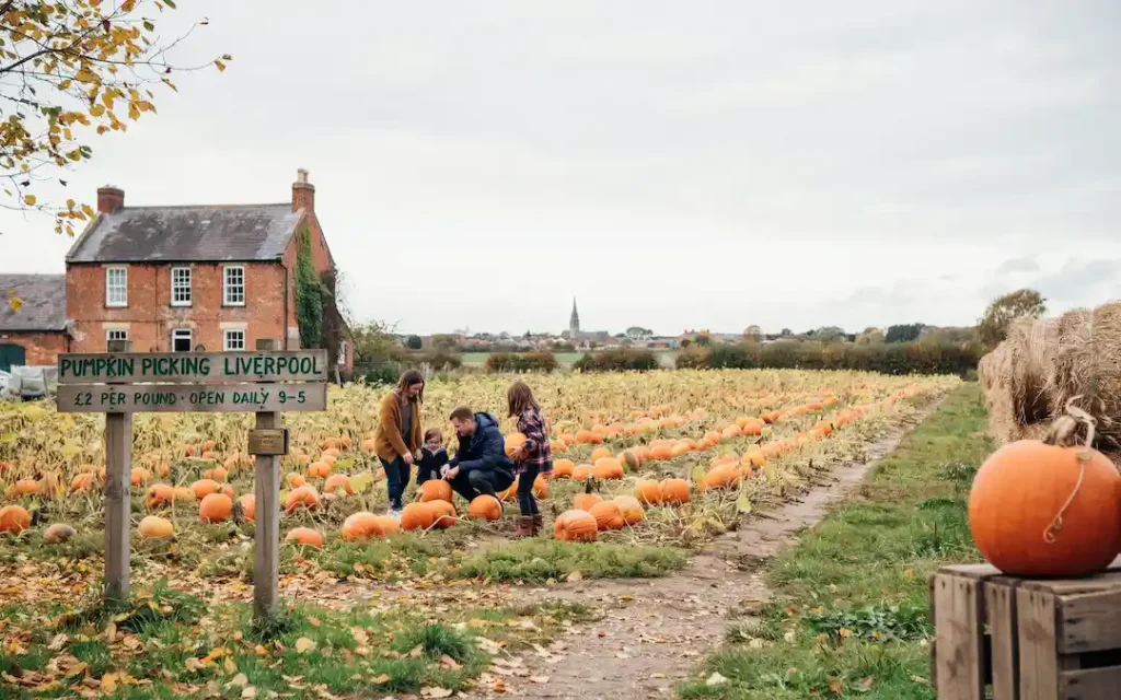 Pumpkin Farms Near Liverpool